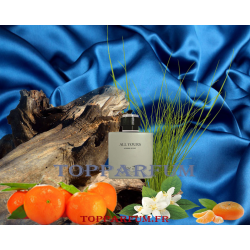 All Yours senteur Allure Sport - Parfum Générique Homme Eau de Toilette 100ml