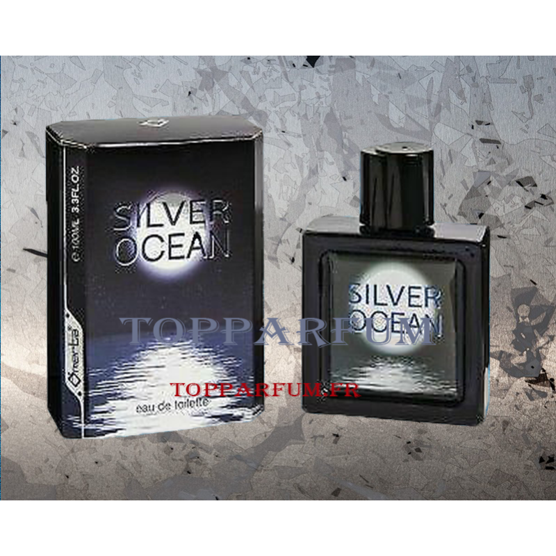 Silver Ocean senteur Bleu de Chanel - Parfum Générique Homme Eau de Toilette 100ml