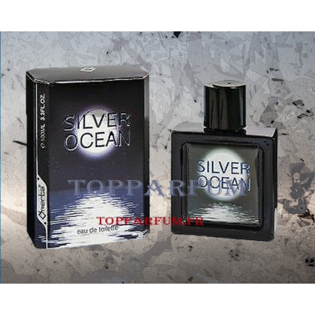 Silver Ocean senteur Bleu de Chanel - Parfum Générique Homme Eau de Toilette 100ml