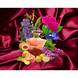 Wealth senteur Trésor - Parfum Générique Femme Eau de Parfum 100ml